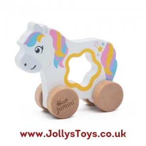 Wooden Duck Push Along
